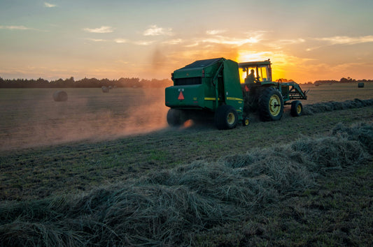 A Day in the Life of a Buckwheat Farmer